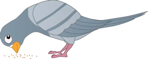 Gambar Burung Pemakan Biji Bijian Kartun - 54+ Koleksi Gambar