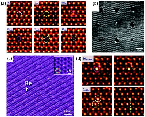 Atomic Scale Characterization Of Structural Heterogeny In D Tmd Layers