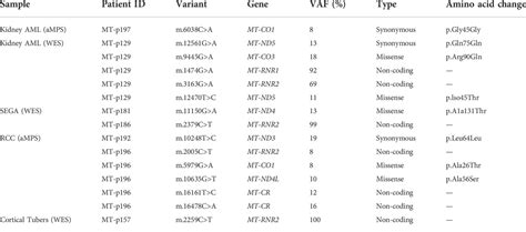 Frontiers Spectrum Of Germline And Somatic Mitochondrial Dna Variants