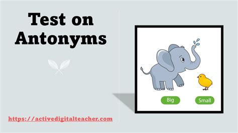 Test On Antonyms September 24 2024