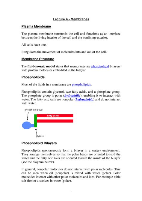 Lecture Membranes Lecture Membranes Plasma Membrane The