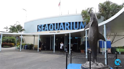 Miami Seaquarium o maior aquário da Flórida Viajando e Viajando