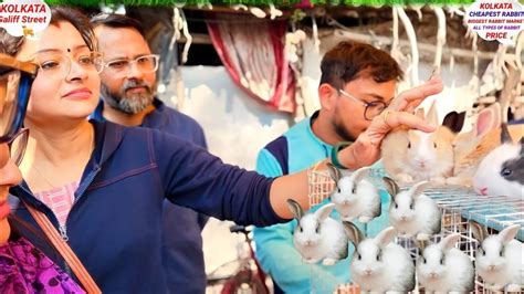 Galiff Street Rabbit Market Gallif Market In Kolkata Gallif Street