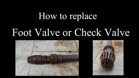 Diy How To Replace Foot Valve Check Valve Deep Well Valve