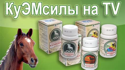 КуЭМсилы – сухой кумыс для здоровья - YouTube