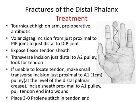 Distal phalanx fracture