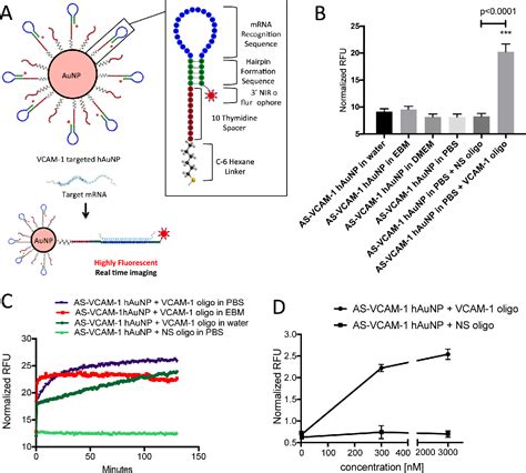 Figure 1 from Real time imaging of VCAM 1 mRNA in TNF α activated