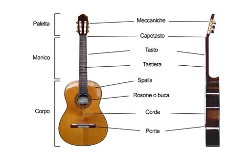 Lezione 1: le parti della chitarra classica