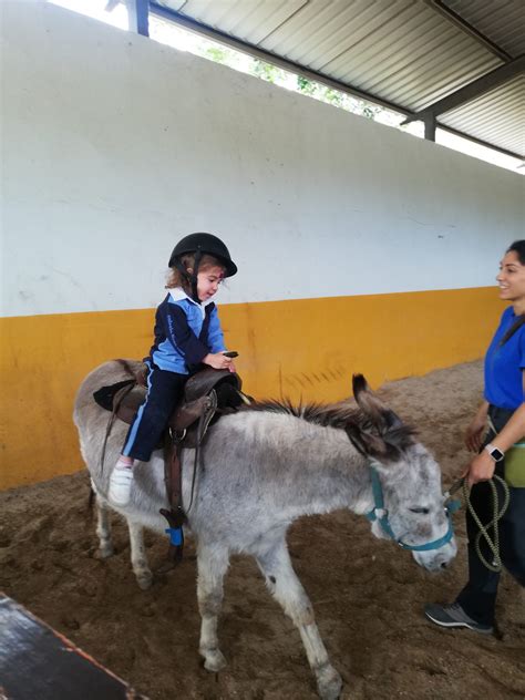 VISITA A LA GRANJA ESCUELA EL JARAMA Colegio Liceo Sorolla