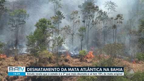 BATV Salvador Mata Atlântica Bahia é o 2ºestado que mais desmata e