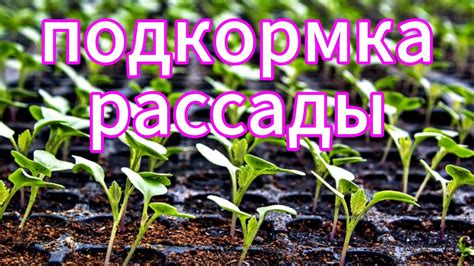 Способ фертикации - YouTube