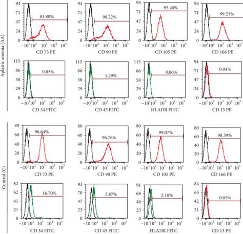 Immunophenotypic And Differentiation Characterization Of Bm Mscs Of