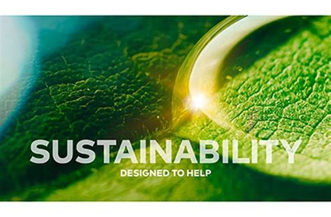 6 Principles For Sustainability — English