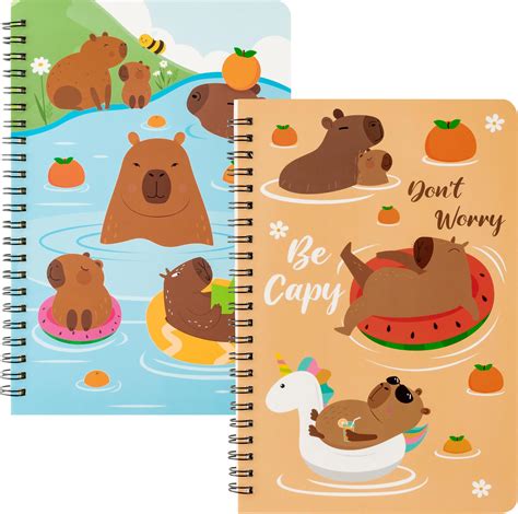 Amazon B1ykin A5 Spiral Notebooks 2Pcs 50 Sheets 100 Pages Cute