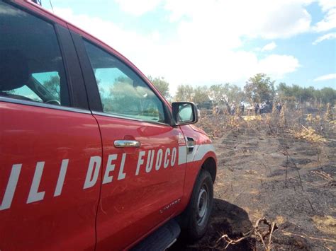 Incendio Nella Zona Industriale Di Nepi Tusciaweb Eu