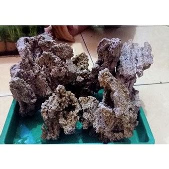 Jual Batu Pasir Sand Stone Kg Akuarium Aquascape Termurah Shopee