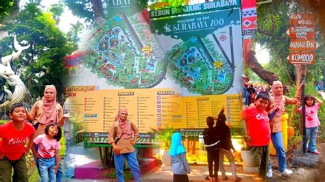 Liburan Ke Wisata Edukasi Di Kebun Binatang Surabaya Bonbin Surabaya