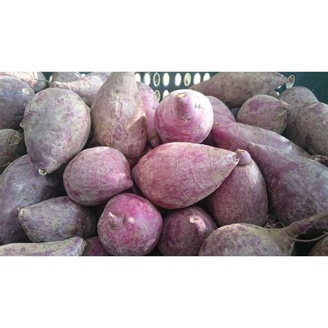 Jual Local Farm Ubi Ungu 1 Kg Ubi Ungu Sayuran Segar Ubi Ungu