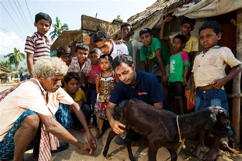 Empowering vet students to protect animals when disasters hits