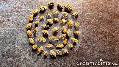 Whole Terminalia Chebula Fruit Stock Footage - Video of herb, harar ...