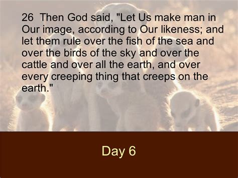 Gods Masterpiece Genesis 120 31 Day 5 20 Then God Said Let The