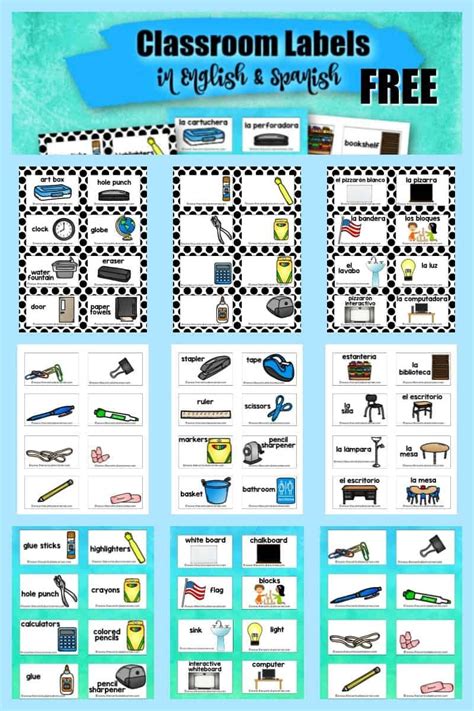 Editable Classroom Labels in English & Spanish