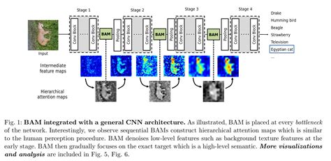 Visualizing Attention When Using Transfer Learning Method For Images