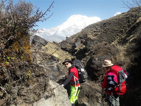 Mardi Himall Trek Forest Camp Trek Annapurna