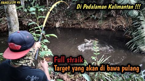 Di Dalam Hutan Kalimantan Mancing Di Spot Ini Harus Kuat Tali Dan