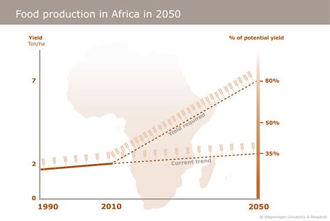 Can Sub Saharan Africa Meet Its Future Cereal Food Requirement Cimmyt