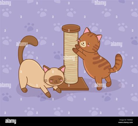 Cute Little Cats Mascots Characters Vector Illustration Design Stock