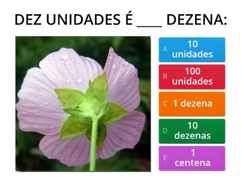 Vamos Relembrar Unidade Dezena E Centena Quiz