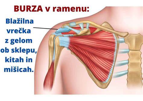 Burza in burzitis ZAPER ZAPERINO frekvenčni impulzi