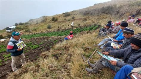 Promulgan Ley Que Regula El Servicio De Extensión Agropecuaria En El