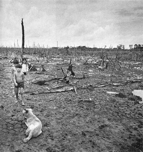 The Effects Of Agent Orange On The Vietnamese Landscape 1976 By Goro Nakamura 884 X 940 R