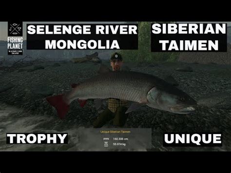 Fishing Planet Selenge River Mongolia Siberian Taimen Trophy