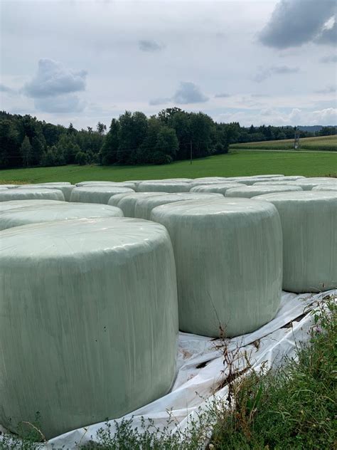 Silageballen Kleegras Kleereiche Wiese Siloballen Kaufen Landwirt