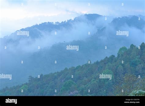nature  light  mist stock photo alamy