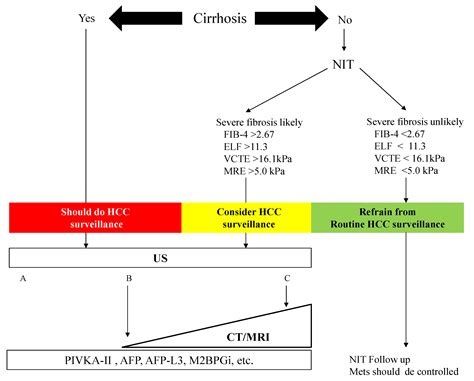 Diagnostics Free Full Text Surveillance Of Hepatocellular Carcinoma In Nonalcoholic Fatty