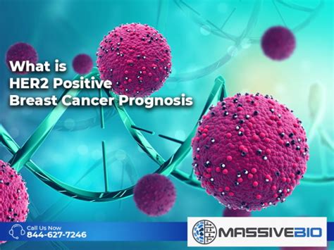 What is HER2 Positive Breast Cancer Prognosis - Massive Bio