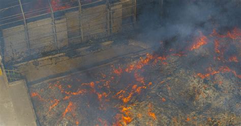 Užfiksuotas gaisro Ecoservice teritorijoje židinys Video 15min lt