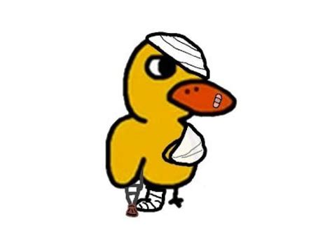 ShowMe - duck song