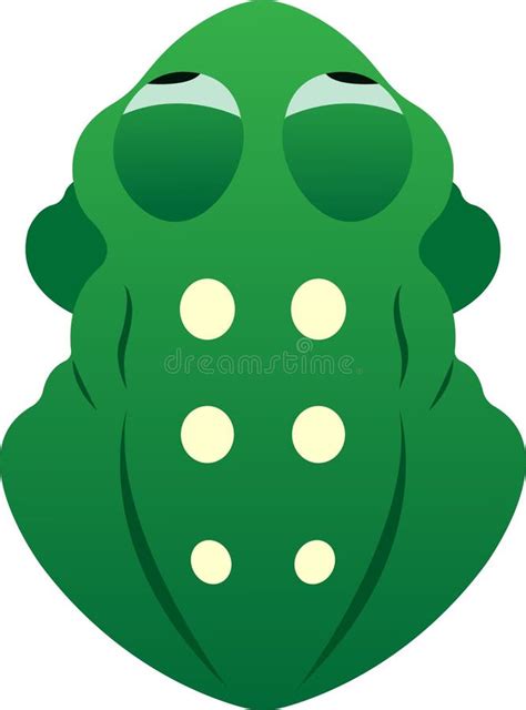 Bovenaanzicht Groene Kikker Vector Illustratie Illustration Of