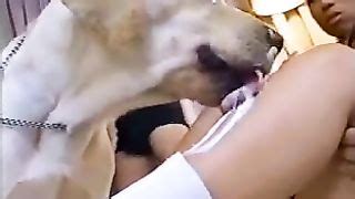 Search Videos For Horny Doxy Used By A Mutt Watch Horny Doxy Used By A Mutt At