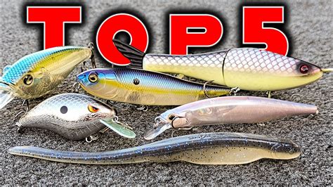 Top 5 Baits For October Bass Fishing Bass Manager The Best Bass