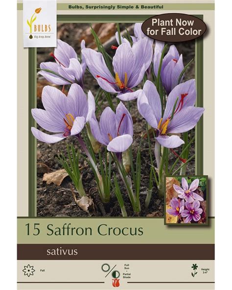 Departments - Crocus Saffron