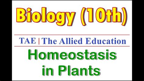 Biology 10th Chapter 2 Homeostasis Homeostasis In Plants YouTube