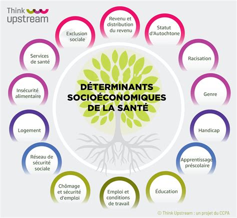 2 3 Déterminants sociaux de la santé Approche globale pour favoriser