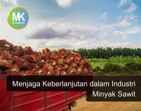 Menjaga Keberlanjutan Dalam Industri Minyak Sawit Mk Academy