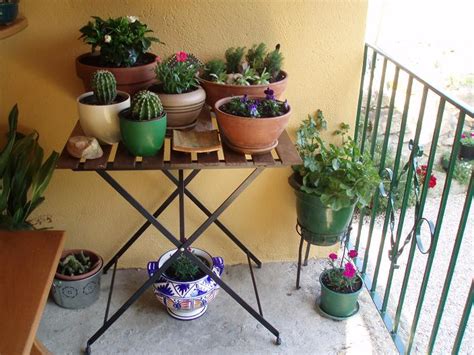 Fotos de unas flores para alegrar el día